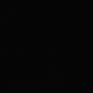 Meet your Posher, Will